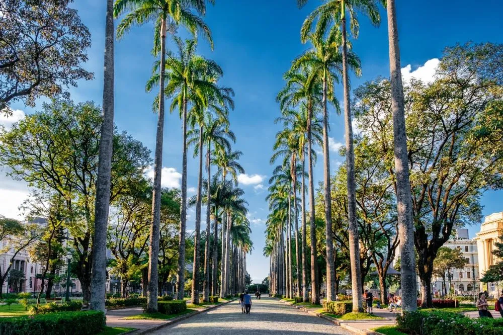 Em 2024, já foram cerca de 4 mil árvores plantadas em BH (Foto Feepik)