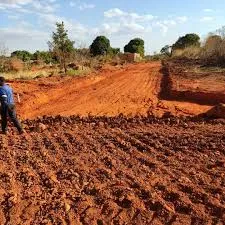 Diversos bairros ainda não desenvolveram na velocidade dos anos. Foto: Reprodução